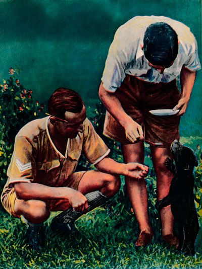En Singapore-maskot från RAF, 1940 av Unbekannt