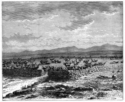 En sydafrikansk boskapskraal, c1890 av Unbekannt