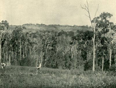 En viktoriansk bergsgård, 1901. av Unbekannt