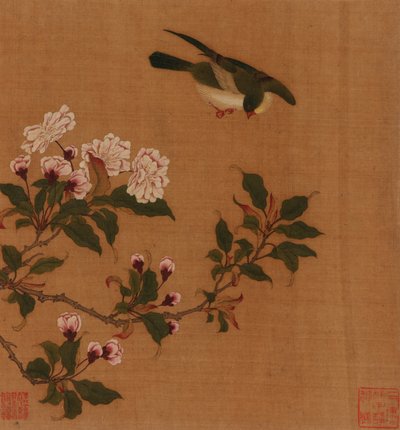 En fågel som svävar över blommande grenar, Qingdynastin, 1700-talet. av Unbekannt