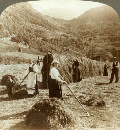 En bondefamilj som gör hö i ett soligt fält mellan bergen, Roldal, Norge, c1905. av Unbekannt