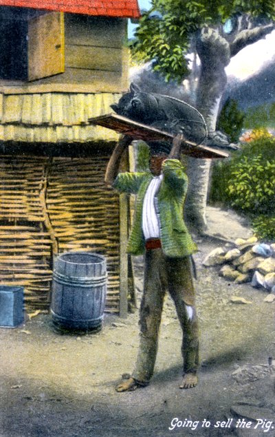 En man på väg till marknaden för att sälja en gris, Jamaica, ca 1900-talet av Unbekannt