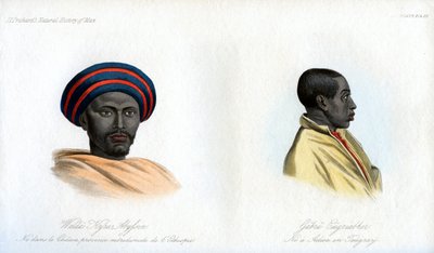 Abessiniska porträtt, 1848 av Unbekannt