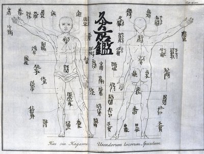Akupunktur: karta över människokroppen som indikerar moxibustionspunkter, Japan (diagram relaterat till moxa, c 1690) av Unbekannt