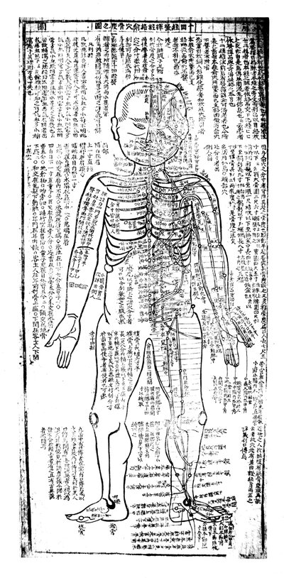 Akupunkturdiagram för framsidan av kroppen, japanskt 1800-tal av Unbekannt