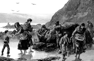 Efterdyningarna av hungersnöd, Irland 1840-talet, 1886 av Unbekannt
