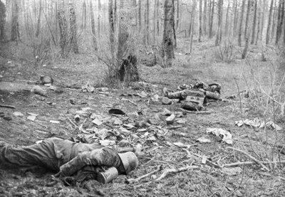 Efterdyningarna av striderna i parken Plessis-de-Roye, Picardie, Frankrike, 30 mars 1918 av Unbekannt