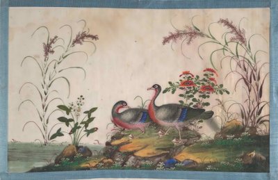 Album innehållande tolv målningar av fåglar, 1800-talet. av Unbekannt