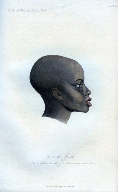 Amochi Galla, ett porträtt av en Galla, 1848 av Unbekannt