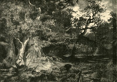 En gammal tysk skog, 1890. av Unbekannt