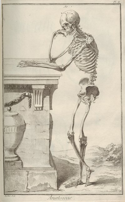 Anatomi. Ur Encyclopédie av Denis Diderot och Jean Le Rond dAlembert, 1751-1765. av Unbekannt
