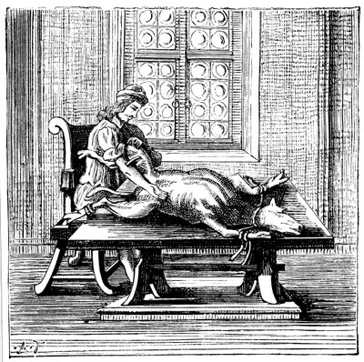 Blodtransfusion från djur till människa, 1679 av Unbekannt
