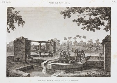 Animal Power Wheel and hink bevattningssystem, Egypten, c 1798 av Unbekannt