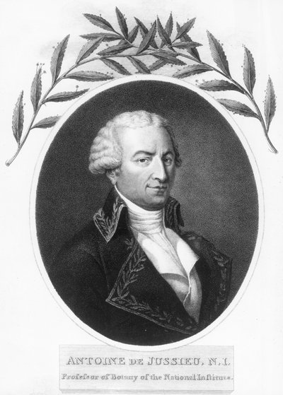 Antoine de Jussieu, fransk botaniker från 1700-talet, 1807 av Unbekannt