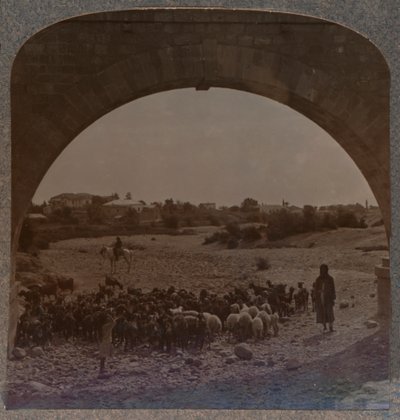 Akvedukt som visar Jeriko genom båge, c1900 av Unbekannt