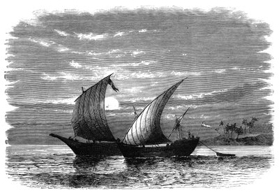 Arabiska dhows på Röda havet, c1890 av Unbekannt