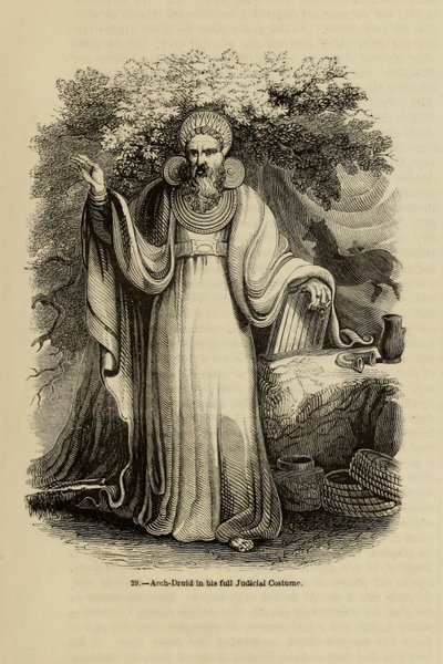 Arch-Druid i sin fullständiga rättsliga kostym Från boken Old England: A Pictorial Museum, 1845 av Unbekannt