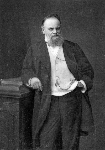 Aristide Boucicaut, fransk återförsäljare, 1874 av Unbekannt
