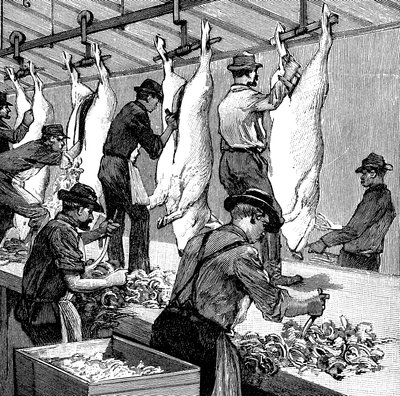 Armour Companys grisslakteri, Chicago, Illinois, USA, 1892 av Unbekannt