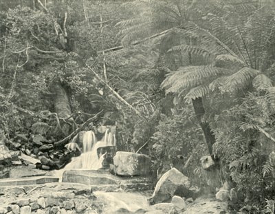 Vid St. Crispins Well, 1901. av Unbekannt