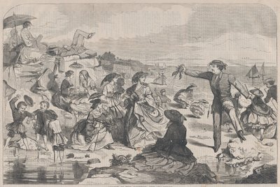 Augusti på landet - The Sea-Shore Harper