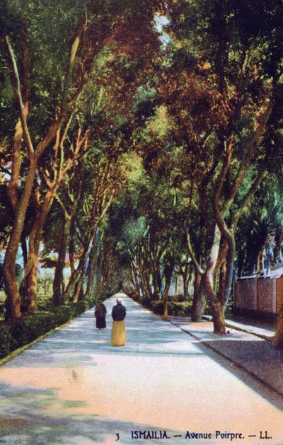 Avenue Poirpre, Ismailia, Egypten, c1900 av Unbekannt