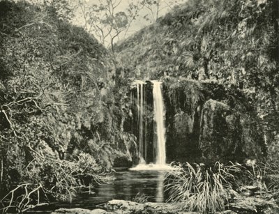 Back Creek Falls, Buchan River, Victoria, 1901. av Unbekannt