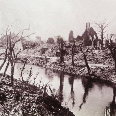 Banks of the Yser, Belgien, c1914-c1918 av Unbekannt