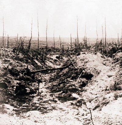 Battlefield, c1914-c1918 av Unbekannt