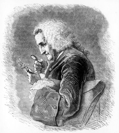 Bernard de Jussieu, fransk botaniker från 1700-talet, 1880 av Unbekannt