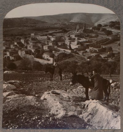 Bethany, c1900 av Unbekannt