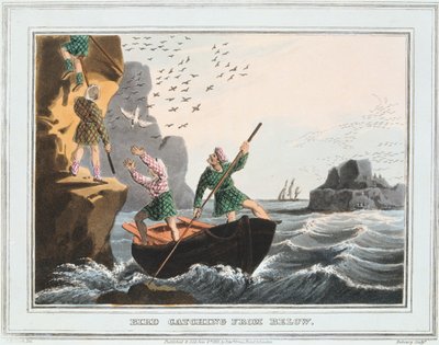 Fågelfångst underifrån, Shetlandsöarna, 1813 av Unbekannt