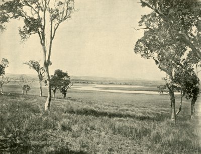 Black Swan Lagoon, nära Warwick, Queensland, 1901. av Unbekannt