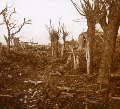 Sprängt landskap, Belloy-en-Santerre, norra Frankrike, c1914-c1918 av Unbekannt