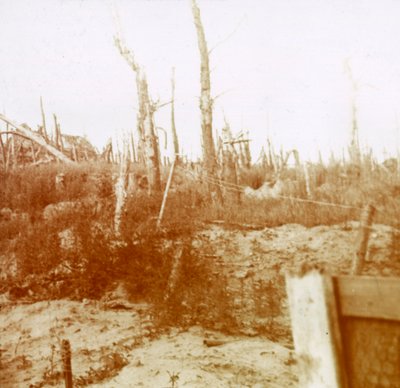 Blästrat trä, Nieuwpoort, Flandern, Belgien, c1914-c1918 av Unbekannt