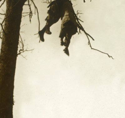 Kropp i träd, Bois dAvocourt, Verdun, norra Frankrike, c1914-c1918. av Unbekannt