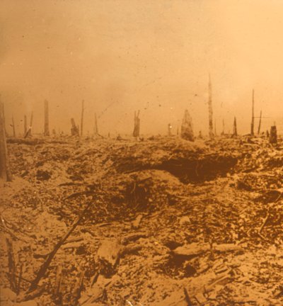 Bois du Chapitre, Vaux, norra Frankrike, c1914-c1918 av Unbekannt
