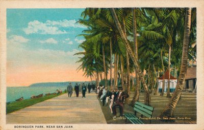 Borinquen Park, nära San Juan, 1909 av Unbekannt