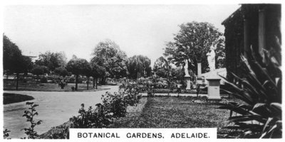 Botaniska trädgården, Adelaide, Australien, 1928 av Unbekannt