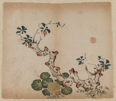 Grenstubbe, 1368-1644. av Unbekannt