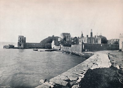 Branksea Island - Allmän utsikt över slottet, 1895 av Unbekannt