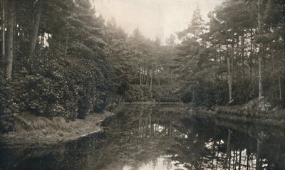 Branksome Chine and Lake, c1910 av Unbekannt