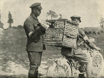 Brittiska armébärarduvor i Frankrike, 1919. av Unbekannt