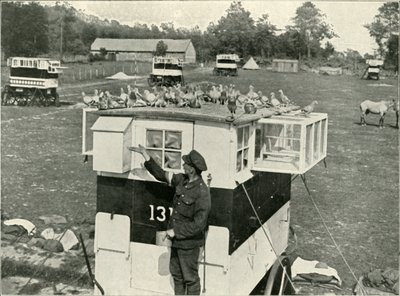 British Army Carrier Pigeons in France: Horse-Drawn Lofts, 1919. av Unbekannt