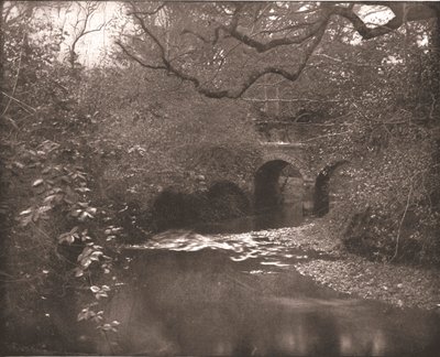 Bäck och bro i New Forest, Hampshire, 1894. av Unbekannt