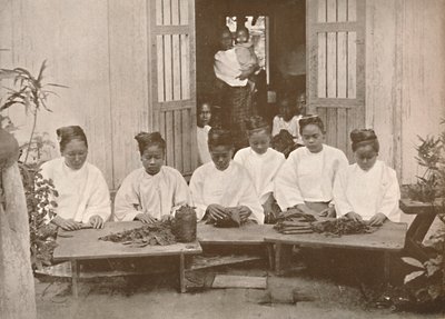 Burmesiska cigarrtillverkare, 1900. av Unbekannt