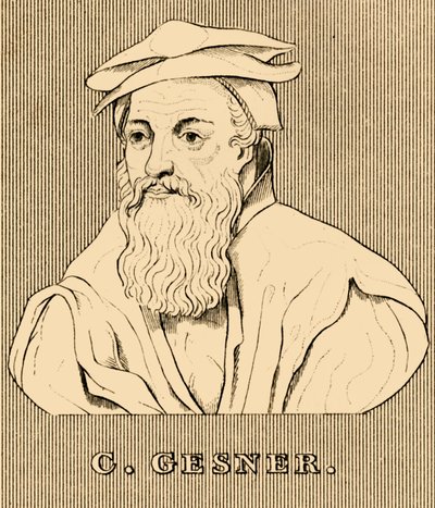 C. Gesner, 1516-1565, 1830 av Unbekannt