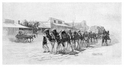 Camel team, Wilcannia, New South Wales, Australien, 1886 av Unbekannt