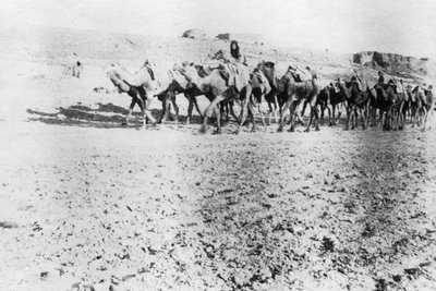 Kameltåg, Mosul, Mesopotamien, 1918 av Unbekannt
