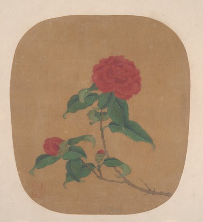 Camellia blommor. av Unbekannt